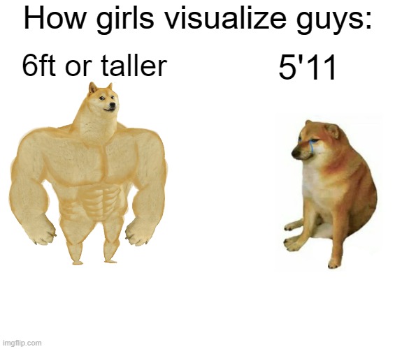 And they say they don't body shame people | How girls visualize guys:; 6ft or taller; 5'11 | image tagged in memes,buff doge vs cheems | made w/ Imgflip meme maker
