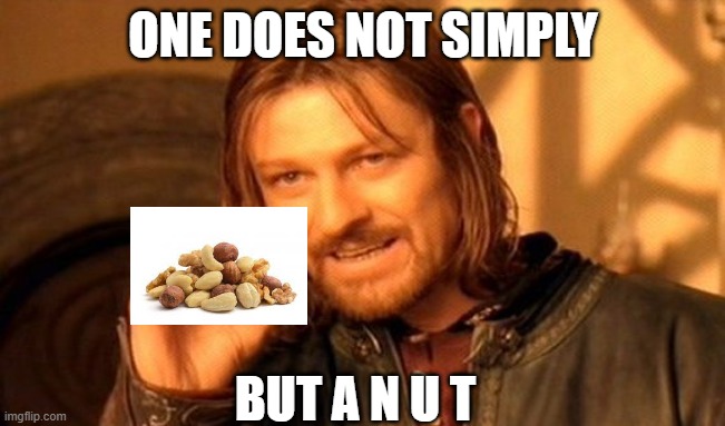 One Does Not Simply | ONE DOES NOT SIMPLY; BUT A N U T | image tagged in memes,one does not simply,nut,nut nut,nut nut nut,bust a nut | made w/ Imgflip meme maker