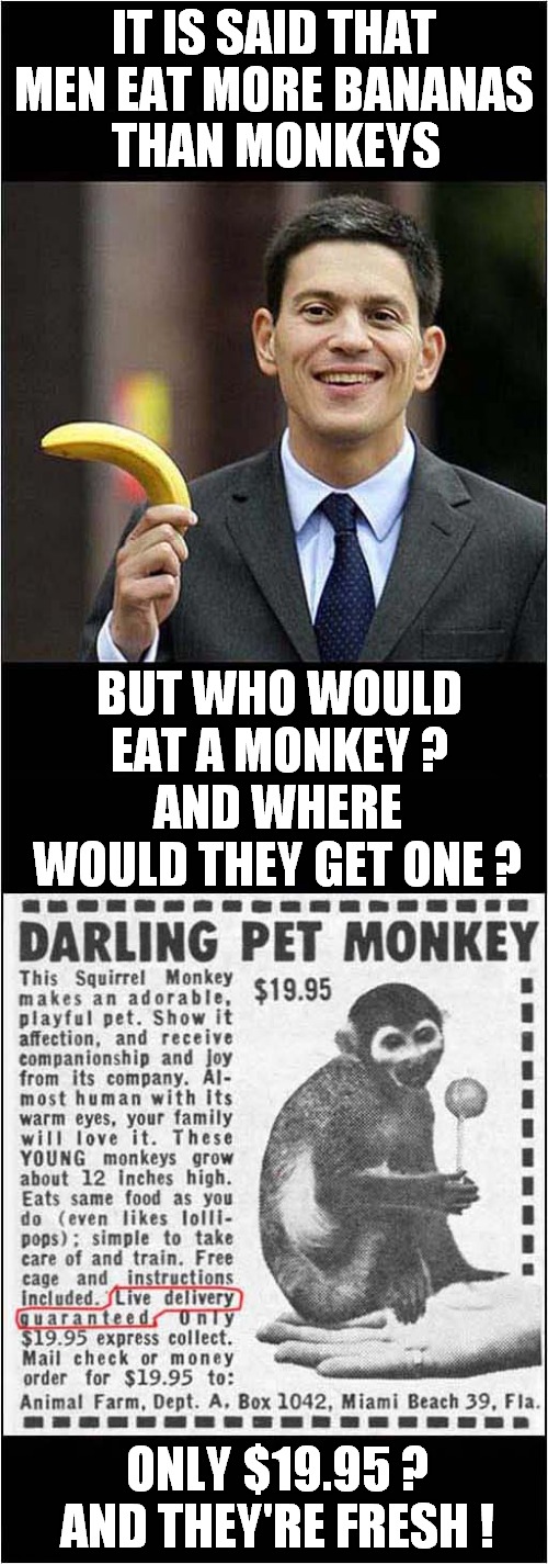 Monkey Man | IT IS SAID THAT MEN EAT MORE BANANAS; THAN MONKEYS; BUT WHO WOULD EAT A MONKEY ? AND WHERE WOULD THEY GET ONE ? ONLY $19.95 ? AND THEY'RE FRESH ! | image tagged in bananas,monkeys,vintage ads,dark humour | made w/ Imgflip meme maker