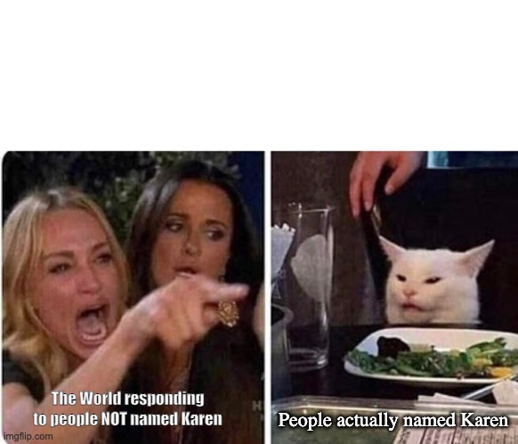 The World vs. Karen | People actually named Karen; The World responding to people NOT named Karen | image tagged in lady screams at cat | made w/ Imgflip meme maker