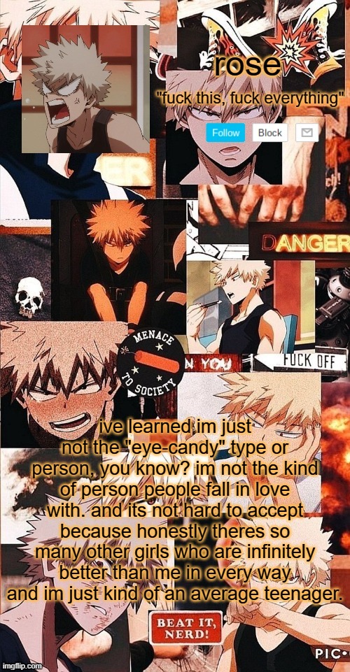 just saying. | ive learned im just not the "eye-candy" type or person, you know? im not the kind of person people fall in love with. and its not hard to accept because honestly theres so many other girls who are infinitely better than me in every way and im just kind of an average teenager. | image tagged in roses bakugo template | made w/ Imgflip meme maker