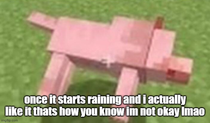 minecraft dog dying | once it starts raining and i actually like it thats how you know im not okay lmao | image tagged in minecraft dog dying | made w/ Imgflip meme maker