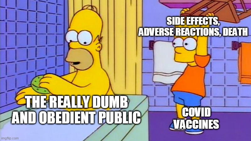 Homer covid | SIDE EFFECTS, ADVERSE REACTIONS, DEATH; THE REALLY DUMB AND OBEDIENT PUBLIC; COVID VACCINES | image tagged in bart hitting homer with a chair,vaccines,covid | made w/ Imgflip meme maker