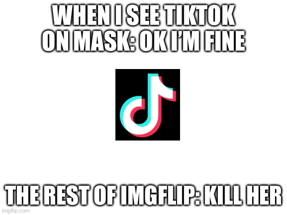 Img what  the flip | WHEN I SEE TIKTOK ON MASK: OK I’M FINE; THE REST OF IMGFLIP: KILL HER | image tagged in blank white template | made w/ Imgflip meme maker