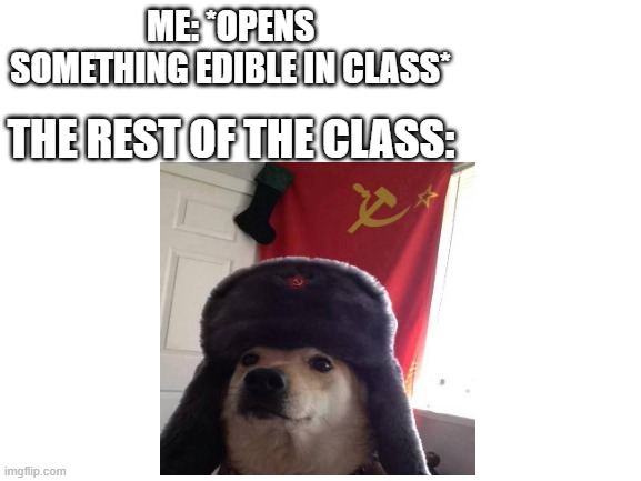 Blank White Template | ME: *OPENS SOMETHING EDIBLE IN CLASS*; THE REST OF THE CLASS: | image tagged in blank white template,communist dog,communist school | made w/ Imgflip meme maker