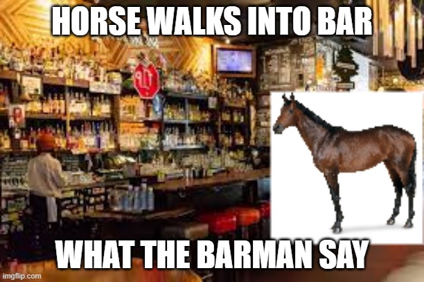 HORSE WALKS INTO BAR; WHAT THE BARMAN SAY | image tagged in funny,philosophy | made w/ Imgflip meme maker