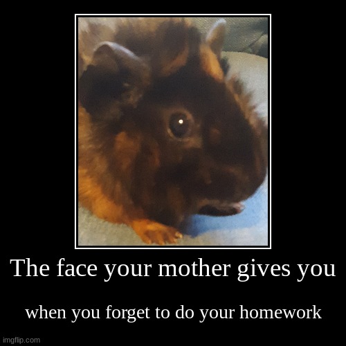 The face your mother gives you | image tagged in funny,demotivationals | made w/ Imgflip demotivational maker