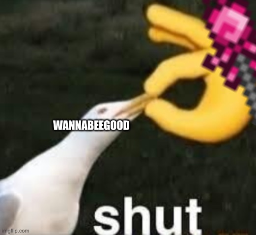 Shut | WANNABEEGOOD | image tagged in shut | made w/ Imgflip meme maker