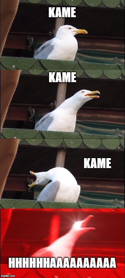 Dragon Ball SEAgull | image tagged in inhaling seagull | made w/ Imgflip meme maker