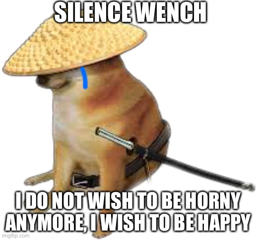 Silence wench | SILENCE WENCH I DO NOT WISH TO BE HORNY ANYMORE, I WISH TO BE HAPPY | image tagged in silence wench | made w/ Imgflip meme maker