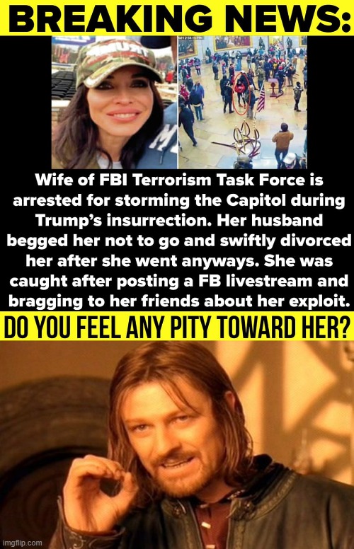 Wife of FBI TERRORISM TASK FORCE?! Can't make this shit up | image tagged in capitol hill riot wife,memes,one does not simply,capitol hill,rioters,divorce | made w/ Imgflip meme maker