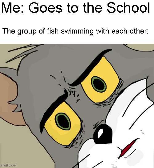 Unsettled Tom Meme | Me: Goes to the School; The group of fish swimming with each other: | image tagged in memes,unsettled tom | made w/ Imgflip meme maker