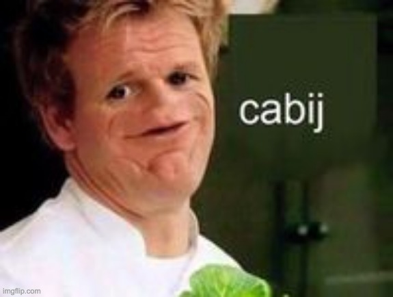 Cabij | image tagged in cabij | made w/ Imgflip meme maker