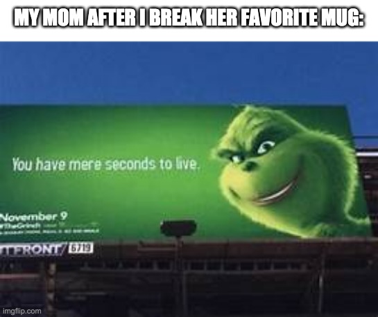 MEME | MY MOM AFTER I BREAK HER FAVORITE MUG: | image tagged in you have mere seconds to live | made w/ Imgflip meme maker
