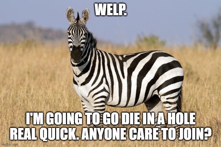 Zebra | WELP. I'M GOING TO GO DIE IN A HOLE REAL QUICK. ANYONE CARE TO JOIN? | image tagged in zebra | made w/ Imgflip meme maker