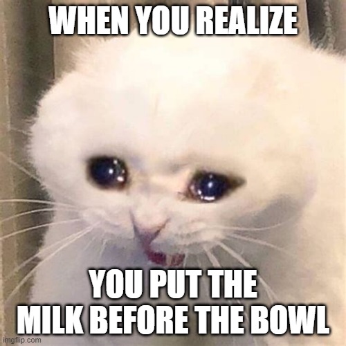 lol | WHEN YOU REALIZE; YOU PUT THE MILK BEFORE THE BOWL | image tagged in cats,memes,how could u | made w/ Imgflip meme maker