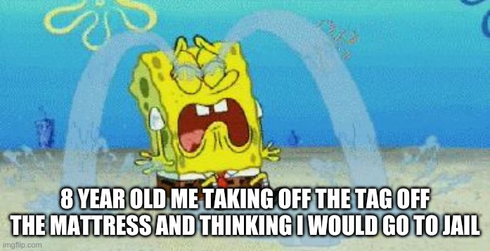 childhood meme | 8 YEAR OLD ME TAKING OFF THE TAG OFF THE MATTRESS AND THINKING I WOULD GO TO JAIL | image tagged in memes,funny,bruh | made w/ Imgflip meme maker