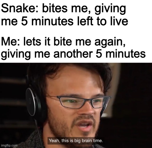Yeah, this is big brain time |  Snake: bites me, giving me 5 minutes left to live; Me: lets it bite me again, giving me another 5 minutes | image tagged in yeah this is big brain time | made w/ Imgflip meme maker