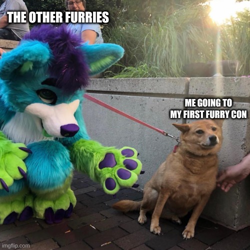 Dog afraid of furry | THE OTHER FURRIES; ME GOING TO MY FIRST FURRY CON | image tagged in dog afraid of furry | made w/ Imgflip meme maker