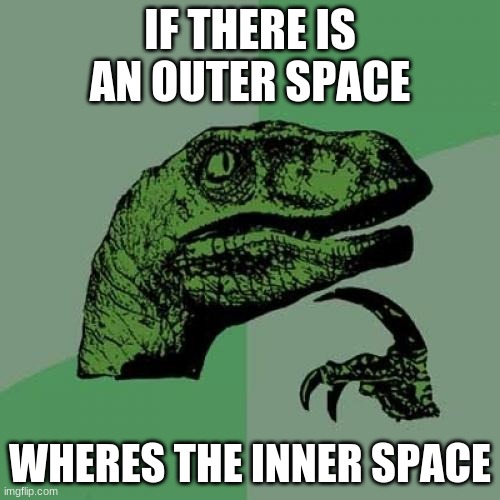 Philosoraptor | IF THERE IS AN OUTER SPACE; WHERES THE INNER SPACE | image tagged in memes,philosoraptor | made w/ Imgflip meme maker
