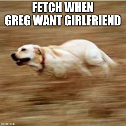 Speedy doggo | FETCH WHEN GREG WANT GIRLFRIEND | image tagged in speedy doggo | made w/ Imgflip meme maker