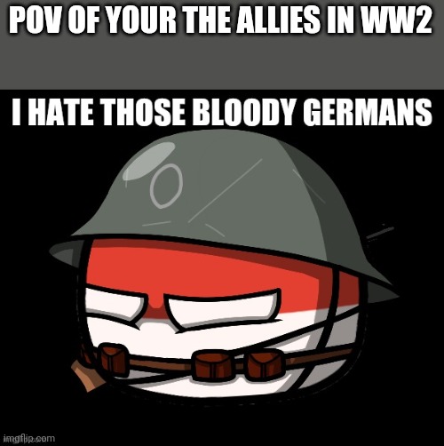 Poland | POV OF YOUR THE ALLIES IN WW2 | image tagged in poland | made w/ Imgflip meme maker