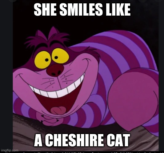 Allusion | SHE SMILES LIKE; A CHESHIRE CAT | image tagged in memes,cool | made w/ Imgflip meme maker