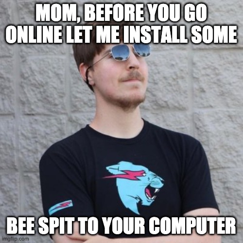 Mr. Beast | MOM, BEFORE YOU GO ONLINE LET ME INSTALL SOME BEE SPIT TO YOUR COMPUTER | image tagged in mr beast | made w/ Imgflip meme maker