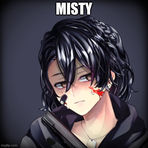 Meet misty! (timeskip universe) | MISTY | made w/ Imgflip meme maker