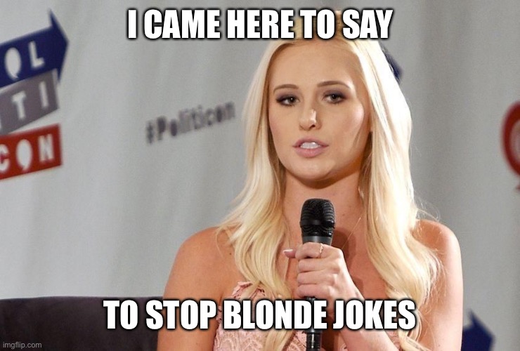 Smart Blonde | I CAME HERE TO SAY; TO STOP BLONDE JOKES | image tagged in smart blonde | made w/ Imgflip meme maker
