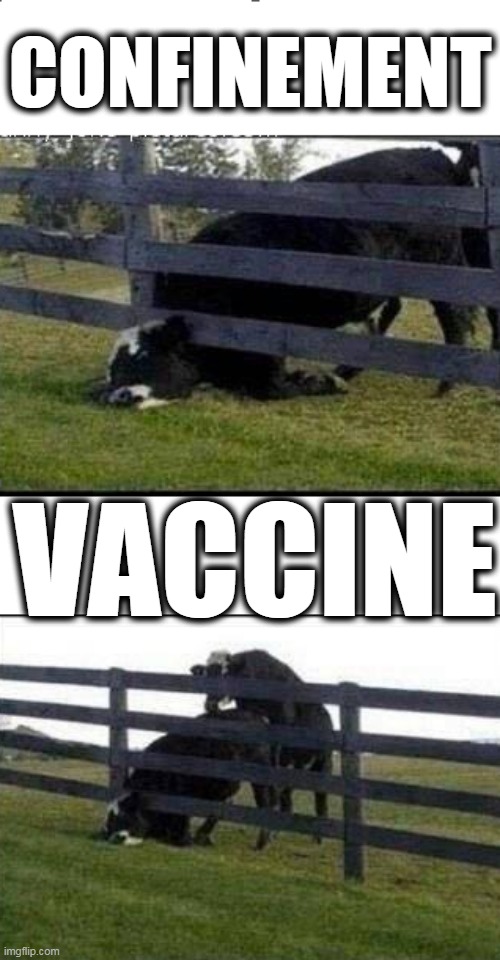 It gets worse |  CONFINEMENT; VACCINE | image tagged in vaccine,agenda 2020,plandemic,covid is a scam,covid fascism | made w/ Imgflip meme maker