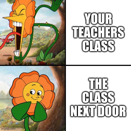 Made this for a friend who has this issue | YOUR TEACHERS CLASS; THE CLASS NEXT DOOR | image tagged in angry flower | made w/ Imgflip meme maker