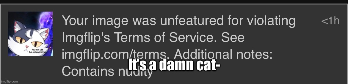 AIGHT WHO DID THIS | It’s a damn cat- | image tagged in wtf | made w/ Imgflip meme maker
