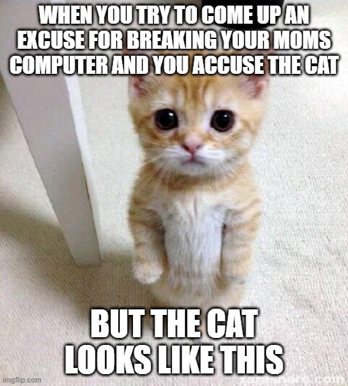 Cute Cat Meme | WHEN YOU TRY TO COME UP AN EXCUSE FOR BREAKING YOUR MOMS COMPUTER AND YOU ACCUSE THE CAT; BUT THE CAT LOOKS LIKE THIS | image tagged in memes,cute cat | made w/ Imgflip meme maker