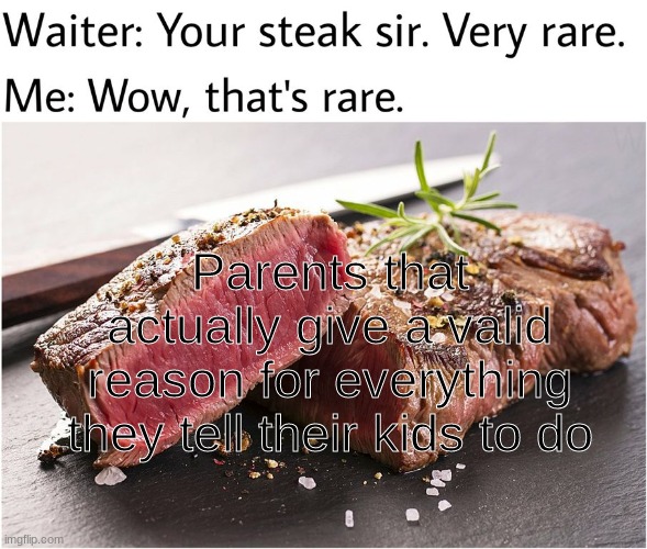 There needs to be more of these type of parents | Parents that actually give a valid reason for everything they tell their kids to do | image tagged in rare steak meme,parents,steak dinner | made w/ Imgflip meme maker