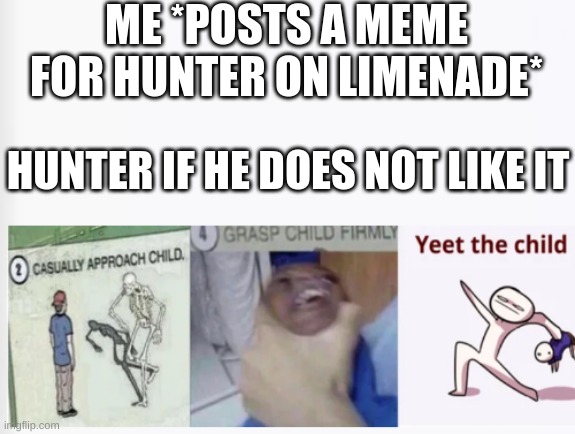 Casually Approach Child, Grasp Child Firmly, Yeet the Child | ME *POSTS A MEME FOR HUNTER ON LIMENADE*; HUNTER IF HE DOES NOT LIKE IT | image tagged in casually approach child grasp child firmly yeet the child | made w/ Imgflip meme maker