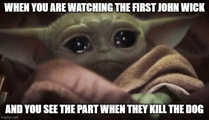 My reaction | WHEN YOU ARE WATCHING THE FIRST JOHN WICK; AND YOU SEE THE PART WHEN THEY KILL THE DOG | image tagged in crying baby yoda | made w/ Imgflip meme maker