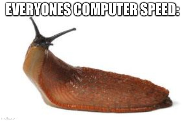 slug life | EVERYONES COMPUTER SPEED: | image tagged in slug life | made w/ Imgflip meme maker