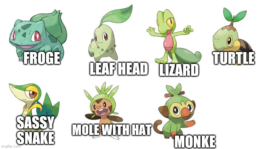 TURTLE; LEAF HEAD; FROGE; LIZARD; MONKE; SASSY SNAKE; MOLE WITH HAT | made w/ Imgflip meme maker
