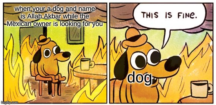 This Is Fine | when your a dog and name is Allah Akbar while the Mexican owner is looking for you; dog | image tagged in memes,this is fine | made w/ Imgflip meme maker