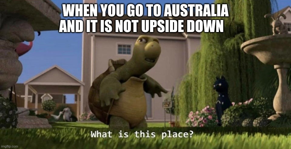 What is this place | WHEN YOU GO TO AUSTRALIA AND IT IS NOT UPSIDE DOWN | image tagged in what is this place | made w/ Imgflip meme maker