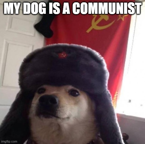 Communist dog |  MY DOG IS A COMMUNIST | image tagged in communist dog | made w/ Imgflip meme maker