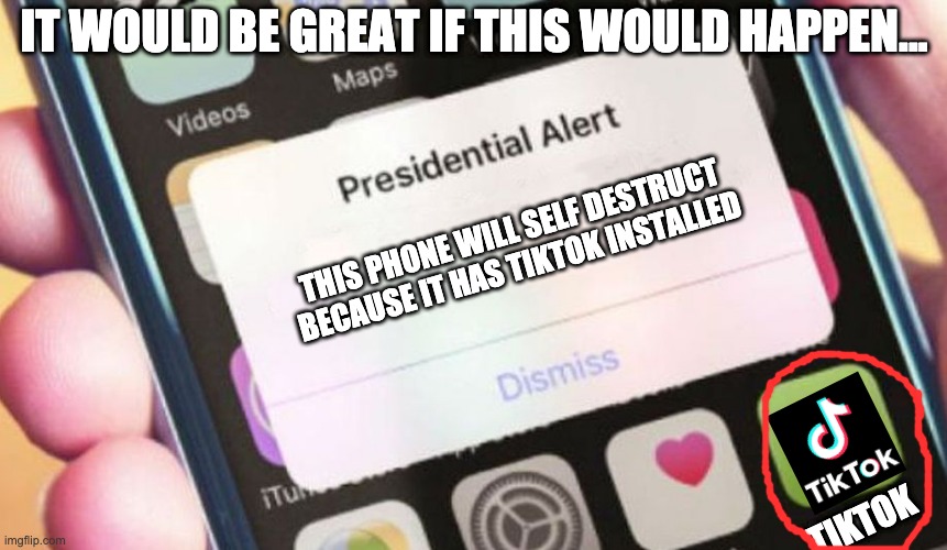 It would be great | IT WOULD BE GREAT IF THIS WOULD HAPPEN... THIS PHONE WILL SELF DESTRUCT BECAUSE IT HAS TIKTOK INSTALLED; TIKTOK | image tagged in memes,presidential alert,tiktok sucks,funny,funny memes,tiktok | made w/ Imgflip meme maker