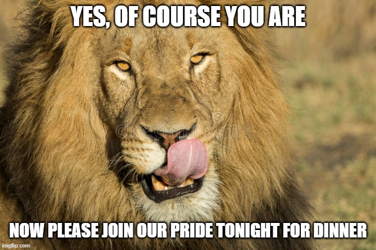 YES, OF COURSE YOU ARE NOW PLEASE JOIN OUR PRIDE TONIGHT FOR DINNER | made w/ Imgflip meme maker