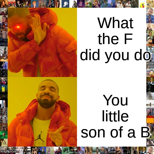 What the F did you do You little son of a B | image tagged in memes,drake hotline bling | made w/ Imgflip meme maker