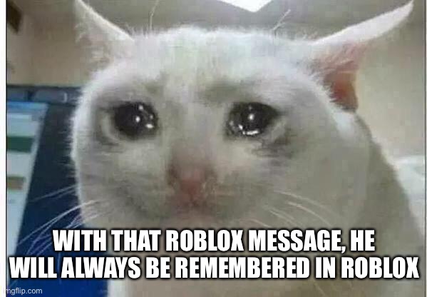 crying cat | WITH THAT ROBLOX MESSAGE, HE WILL ALWAYS BE REMEMBERED IN ROBLOX | image tagged in crying cat | made w/ Imgflip meme maker