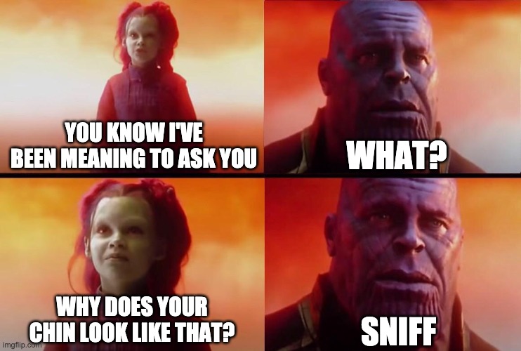 What did it cost? | WHAT? YOU KNOW I'VE BEEN MEANING TO ASK YOU; SNIFF; WHY DOES YOUR CHIN LOOK LIKE THAT? | image tagged in what did it cost | made w/ Imgflip meme maker