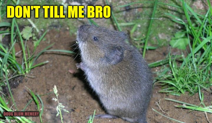 plant eaters kill voles | DON'T TILL ME BRO; DOUG BLUM MEMERY | image tagged in diet,vegans,genocide | made w/ Imgflip meme maker