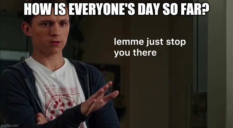 Lemme just stop you there | HOW IS EVERYONE'S DAY SO FAR? | image tagged in lemme just stop you there | made w/ Imgflip meme maker