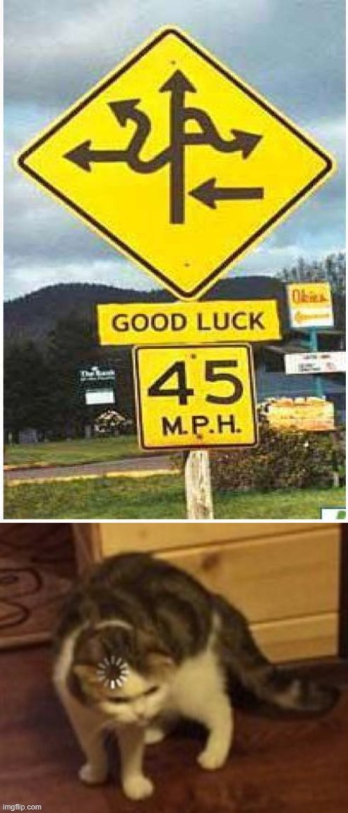 google maps doesnt work anymore | image tagged in loading cat,dumb signs | made w/ Imgflip meme maker